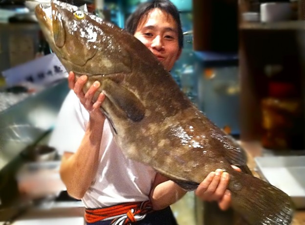 10月よりスタート　魚業界神様